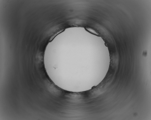 X0000101390284200807280945