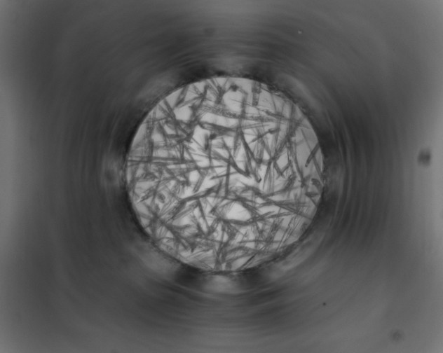 X0000101390285200807280945