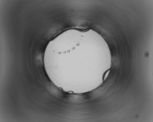 X0000101390286200807280945