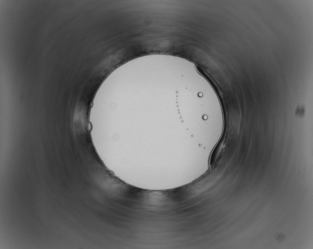 X0000101390287200807280945
