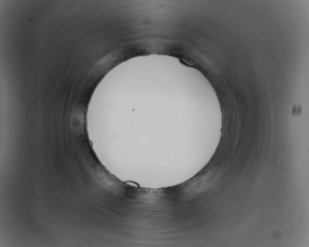 X0000101390288200807280945