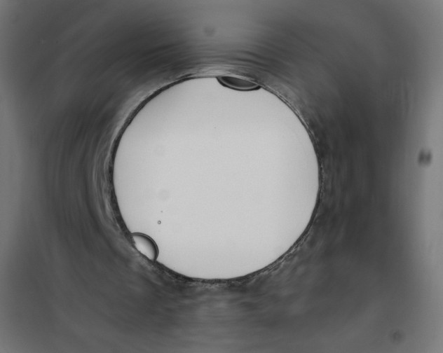 X0000101390289200807280944