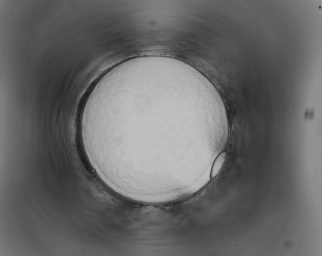 X0000101390290200807280944