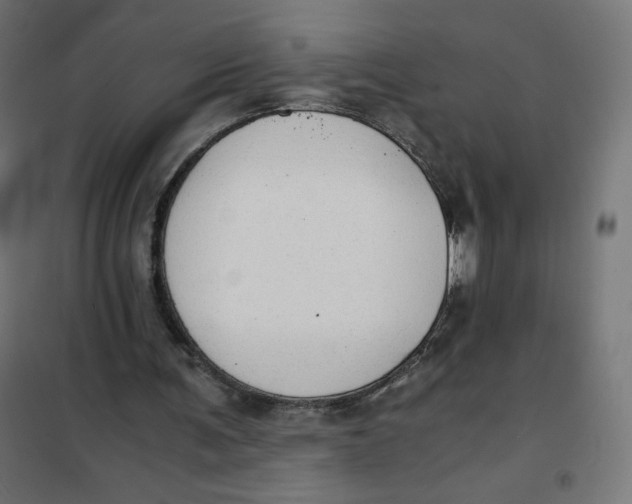 X0000101390291200807280944