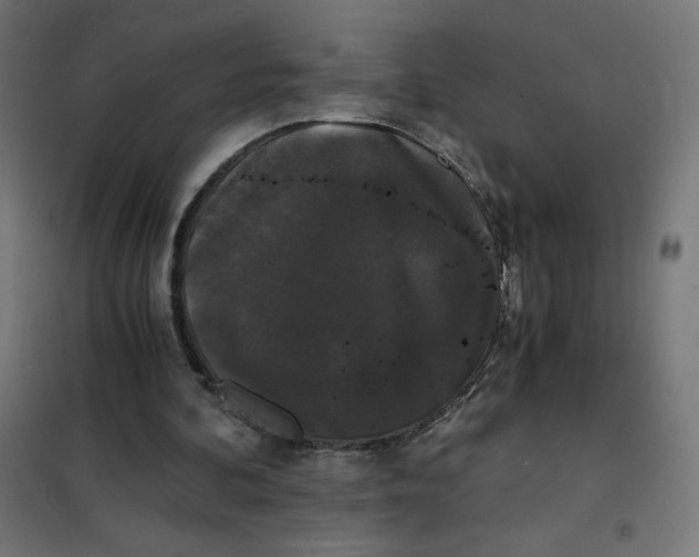 X0000101390292200807280944