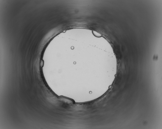 X0000101390293200807280944