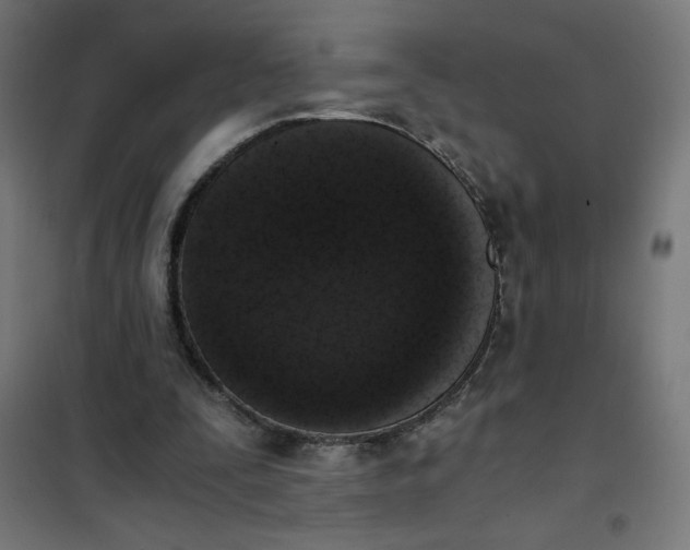 X0000101390295200807280944