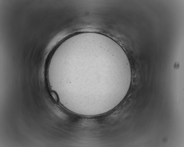 X0000101390296200807280944