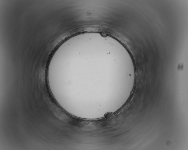 X0000101390297200807280944