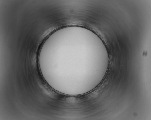 X0000101390298200807280944