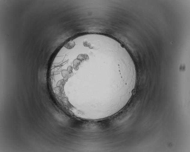 X0000101390299200807280944