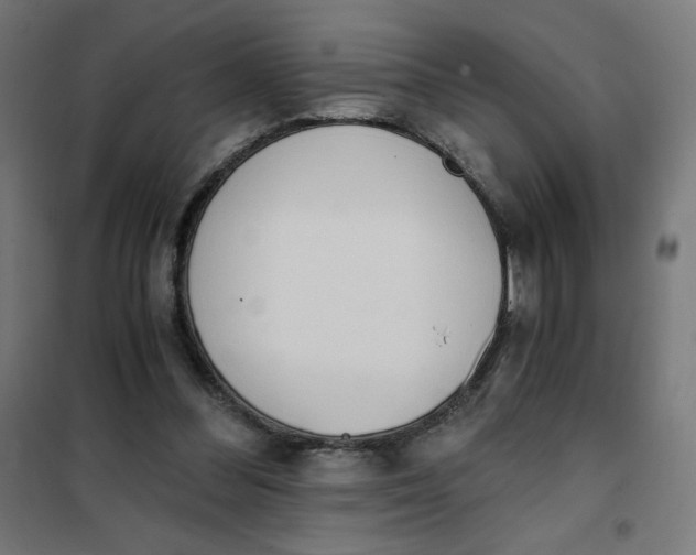 X0000101390300200807280944