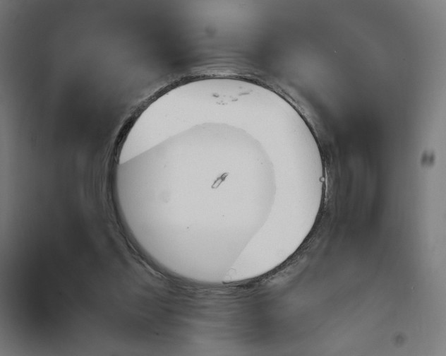 X0000101390301200807280944