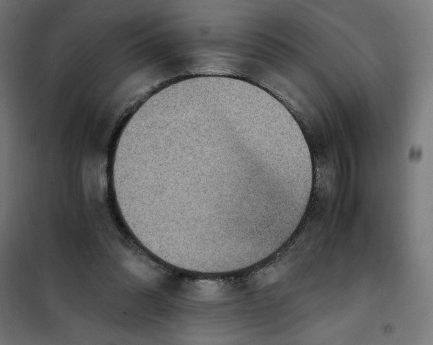 X0000101390302200807280944