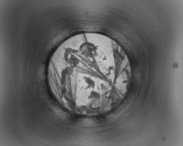 X0000101390303200807280944