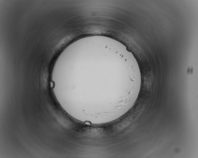 X0000101390304200807280944