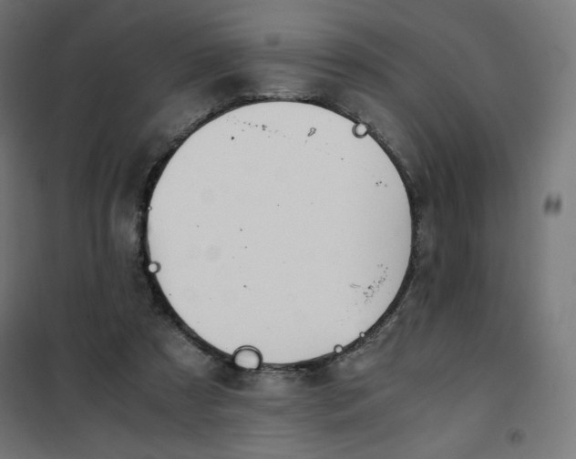 X0000101390305200807280944