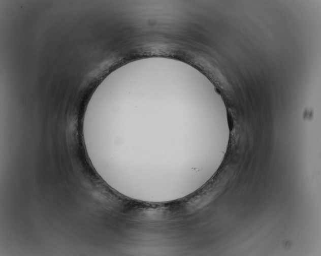 X0000101390306200807280944