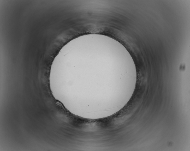 X0000101390307200807280944
