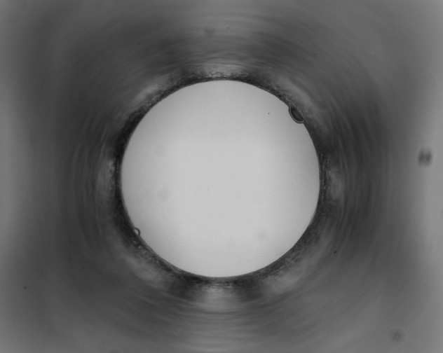 X0000101390308200807280944