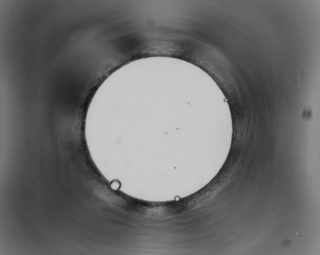 X0000101390309200807280944