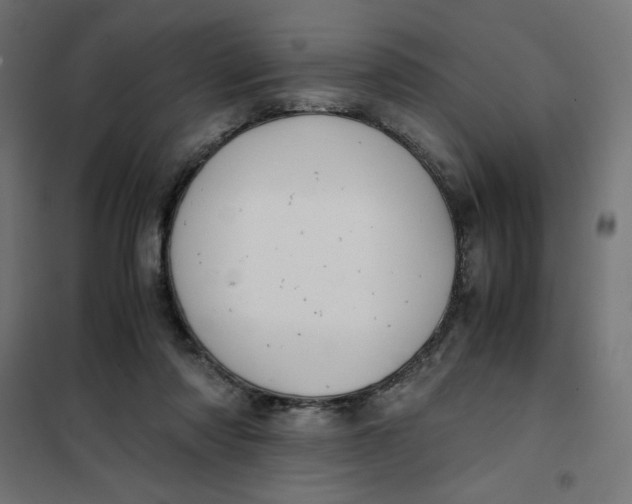 X0000101390310200807280944