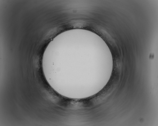 X0000101390311200807280944