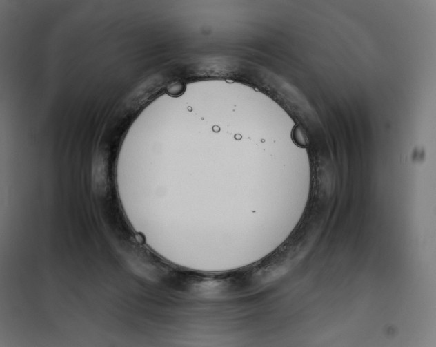 X0000101390312200807280944