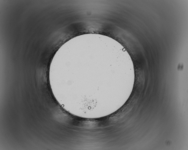 X0000101390313200807280944