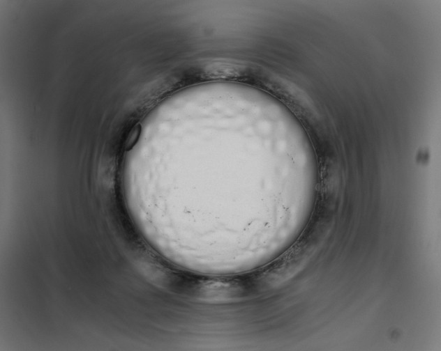 X0000101390315200807280944