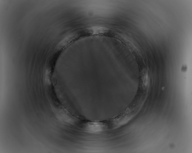X0000101390316200807280944