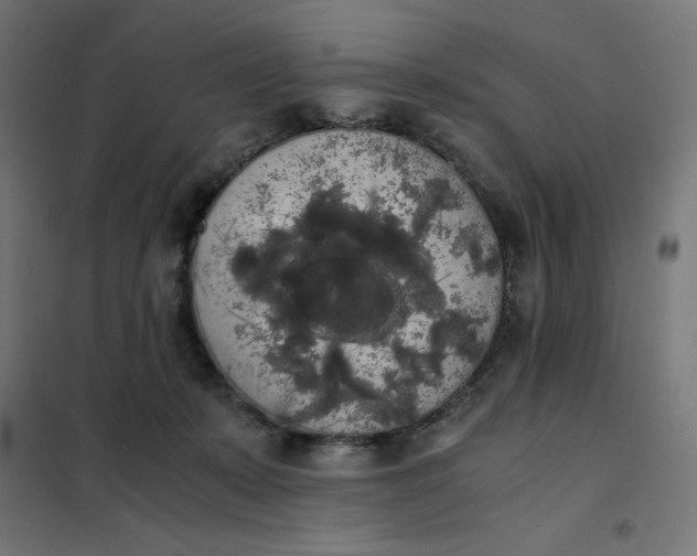 X0000101390319200807280944