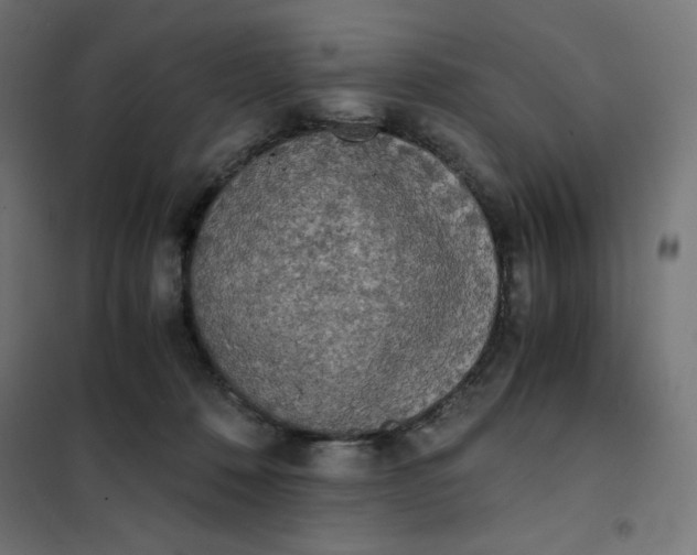 X0000101390320200807280944