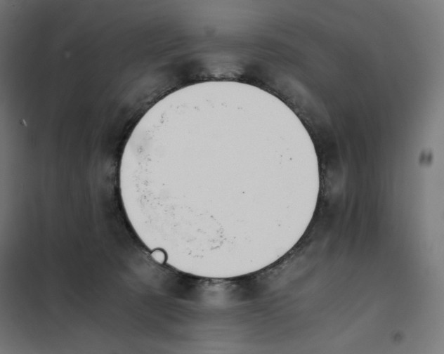 X0000101390321200807280943