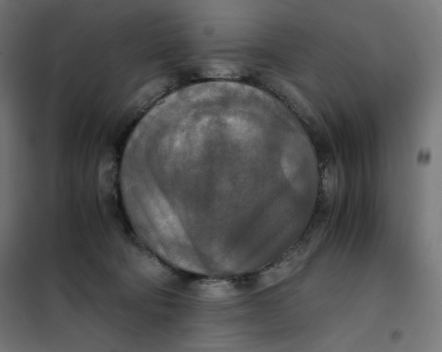 X0000101390322200807280943