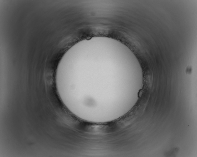 X0000101390323200807280943