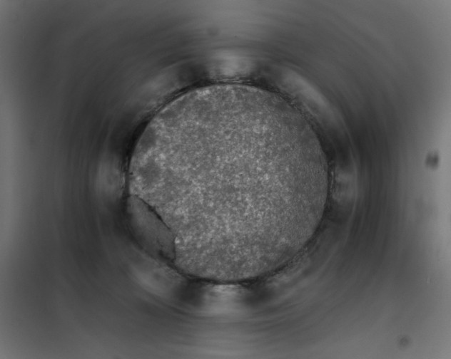 X0000101390324200807280943