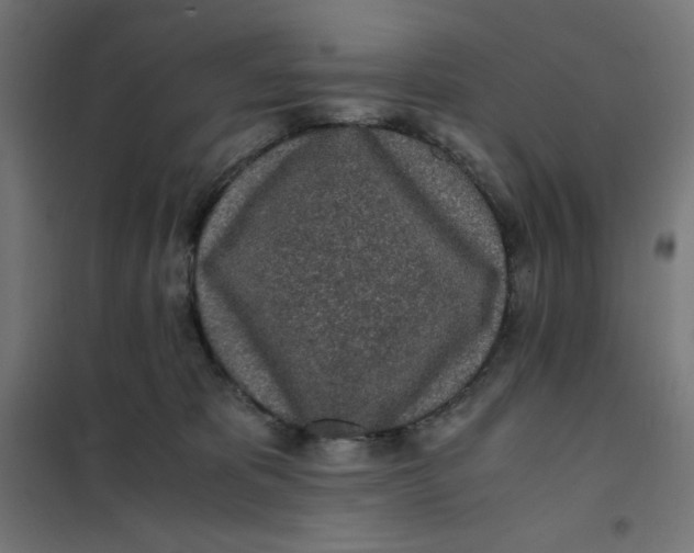 X0000101390325200807280943