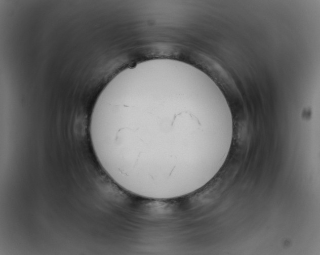 X0000101390326200807280943