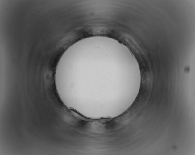 X0000101390327200807280943