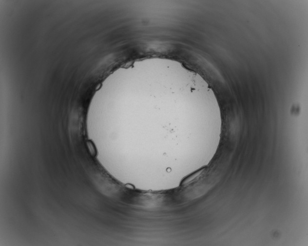 X0000101390328200807280943