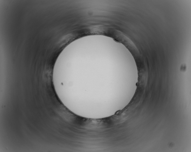 X0000101390329200807280943