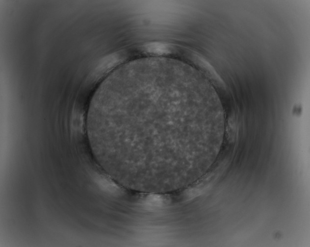 X0000101390330200807280943