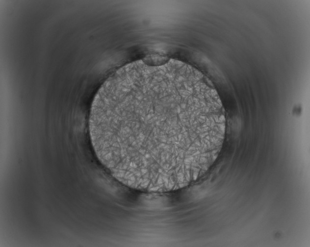 X0000101390331200807280943