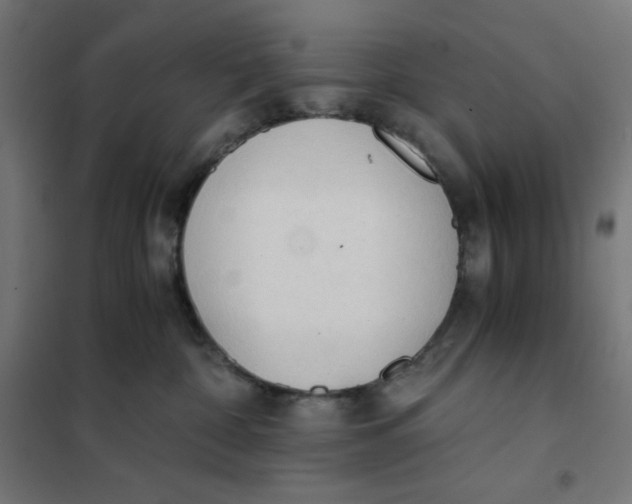 X0000101390332200807280943