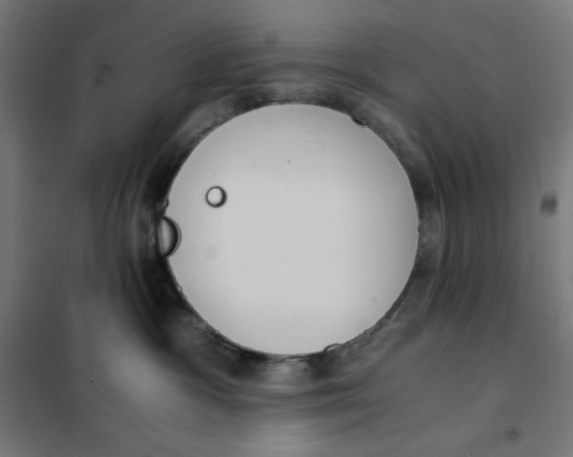 X0000101390333200807280943