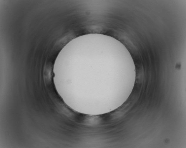X0000101390334200807280943