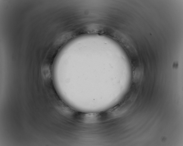 X0000101390335200807280943