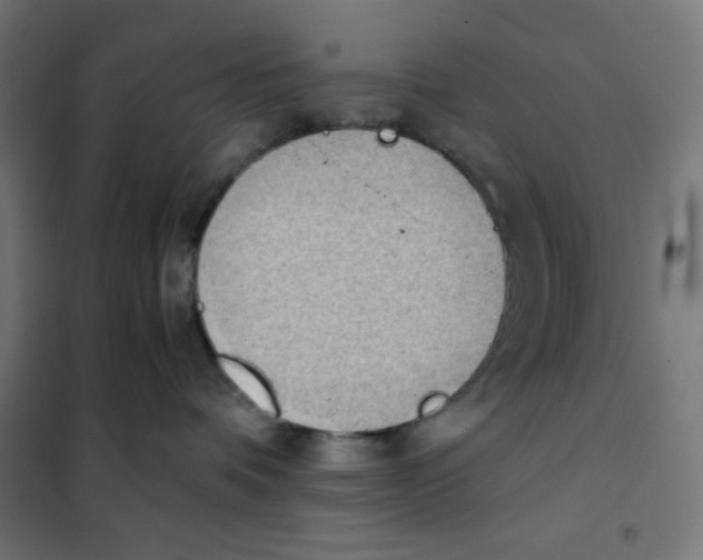 X0000101390336200807280943