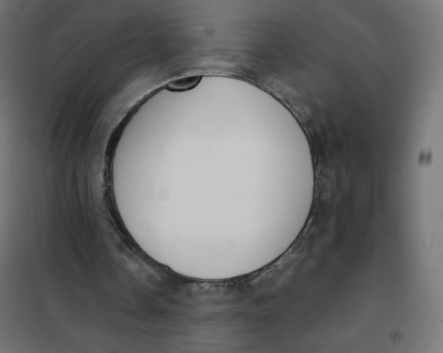 X0000101390338200807280943